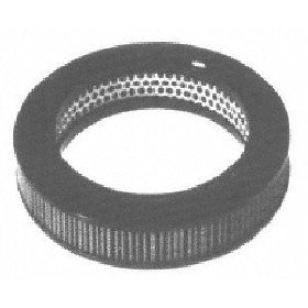 Show details of Motorcraft FA1058 Air Filter.