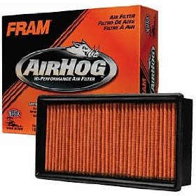 Show details of FRAM PPA4309 Air Hog Panel Filter.