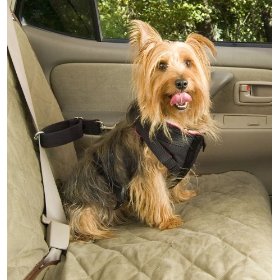 Show details of Solvit Small Pet Vehicle Safety Harness.