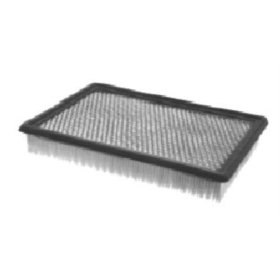 Show details of FRAM PPA7365 Air Hog Panel Filter.