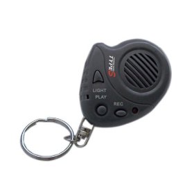 Show details of Type S AC12847-60/6 Gray Voice Recorder Keychain.