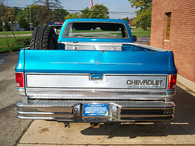 1980 CHEVROLET SCOTTSDALE Troy MI 48083 Photo #0001558I