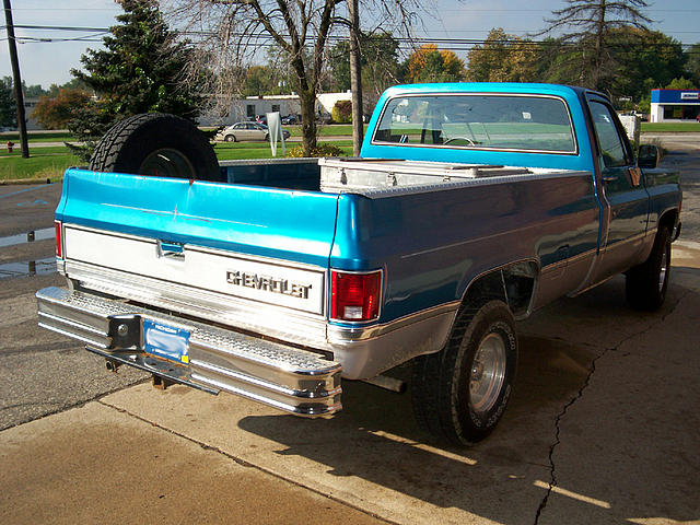 1980 CHEVROLET SCOTTSDALE Troy MI 48083 Photo #0001558I