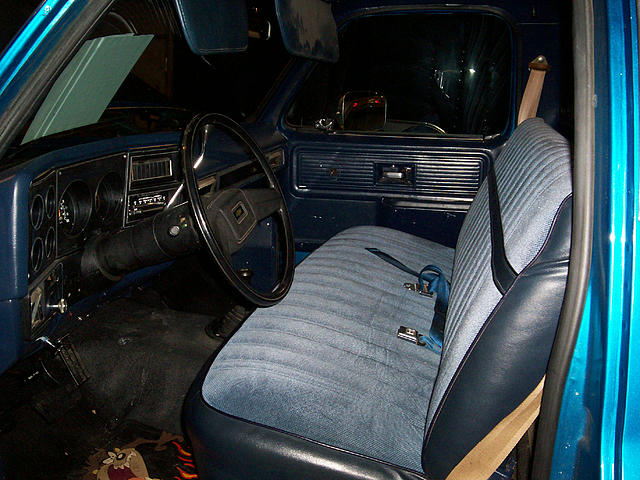 1980 CHEVROLET SCOTTSDALE Troy MI 48083 Photo #0001558I