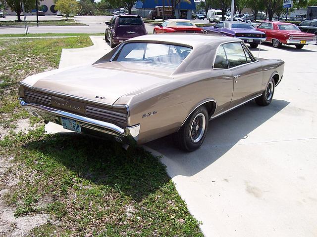 1966 Pontiac GTO Fort Myers FL 33901 Photo #0002331A