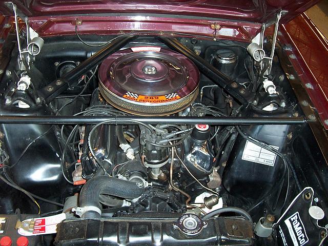 1965 Ford Mustang GT Fort Myers FL 33901 Photo #0002383A