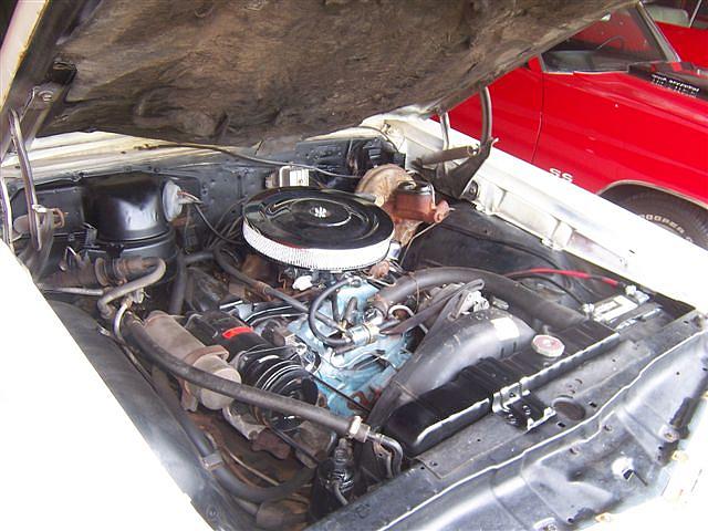 1967 PONTIAC GTO Wilson OK 73443 Photo #0003362A