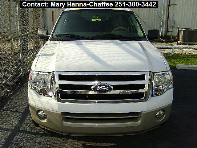 2007 Ford Expedition Eddie Bauer Mobile AL 36606 Photo #0004078A