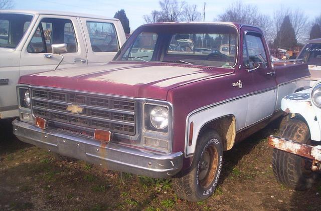 1978 CHEVROLET SILVERADO Gray Court (near Greenville) SC 29645 Photo #0005128A