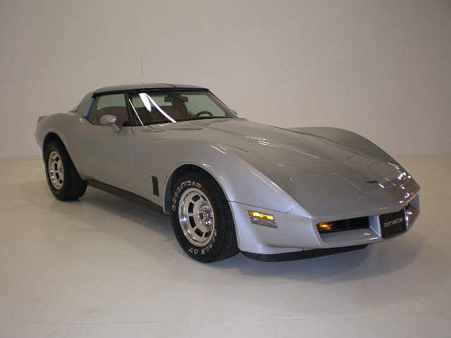 1981 CHEVROLET CORVETTE Portage MI 49081 Photo #0005133A