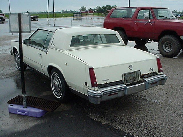 1981 CADILLAC ELDORADO Staunton IL 62088 Photo #0005210A