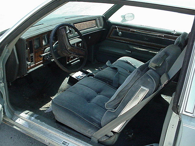 1981 BUICK REGAL Staunton IL 62088 Photo #0005213A