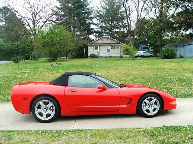 1998 CHEVROLET CORVETTE Concord NC 28027 Photo #0005523A