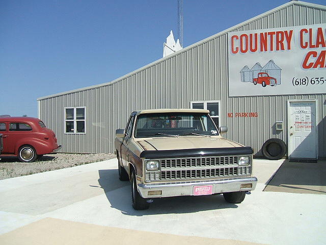 1981 CHEVROLET C10 Staunton IL 62088 Photo #0005832A