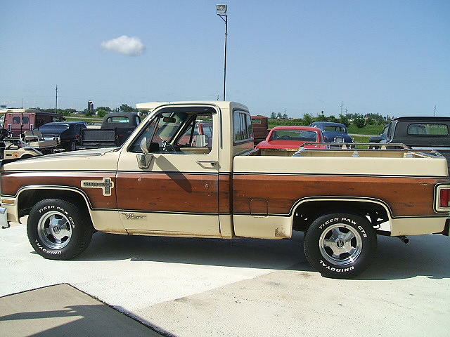 1981 CHEVROLET C10 Staunton IL 62088 Photo #0005832A