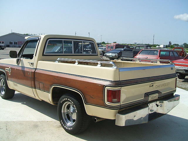 1981 CHEVROLET C10 Staunton IL 62088 Photo #0005832A