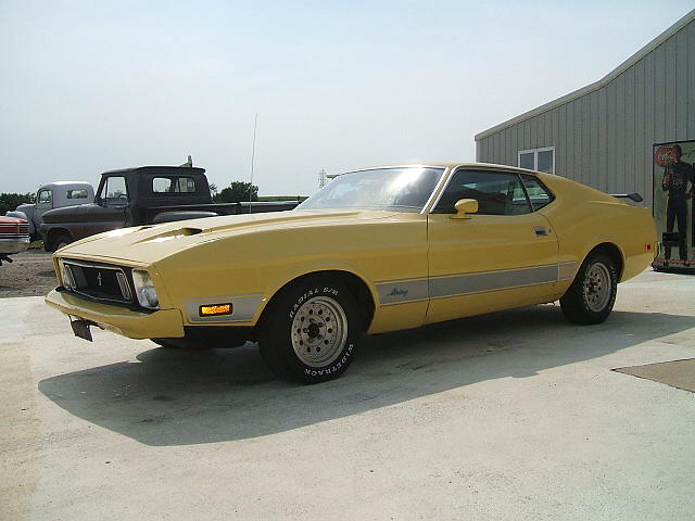 1973 FORD MUSTANG Staunton IL 62088 Photo #0005854A