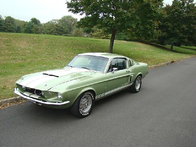 1967 SHELBY-AMERICAN GT350 Gladstone NJ 07934 Photo #0006171A