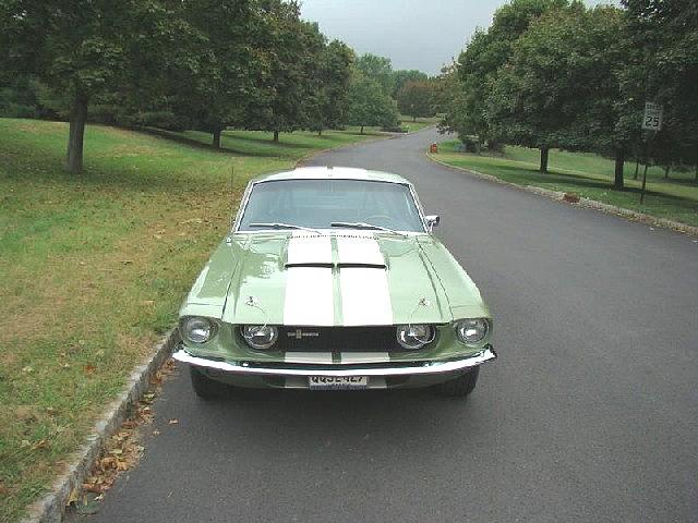 1967 SHELBY-AMERICAN GT350 Gladstone NJ 07934 Photo #0006171A