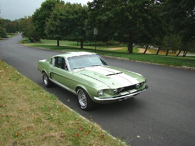 1967 SHELBY-AMERICAN GT350 Gladstone NJ 07934 Photo #0006171A