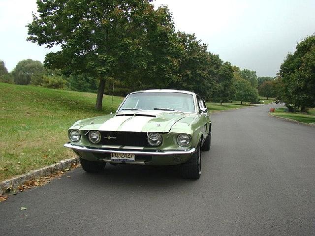 1967 SHELBY-AMERICAN GT350 Gladstone NJ 07934 Photo #0006171A