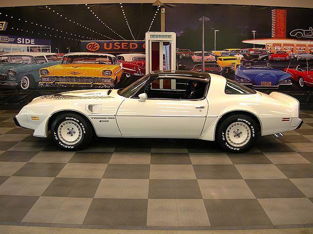 1981 PONTIAC FIREBIRD Dothan AL 36301 Photo #0006212A