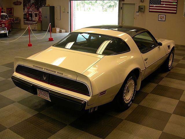 1981 PONTIAC FIREBIRD Dothan AL 36301 Photo #0006212A