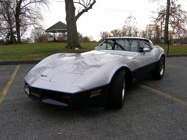 1980 CHEVROLET CORVETTE North Canton OH 44720 Photo #0006293A