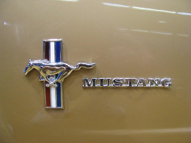 1966 FORD MUSTANG Houston TX 77057 Photo #0006403A