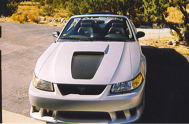 1999 FORD MUSTANG GT (SALEEN) N Ft Myers FL 33917 Photo #0006914A