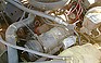 Photo #0006991G