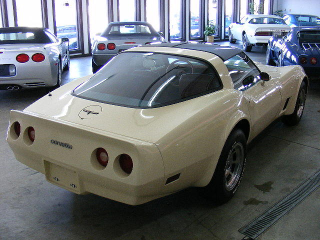 1981 CHEVROLET CORVETTE Holt MI 48842 Photo #0007118A