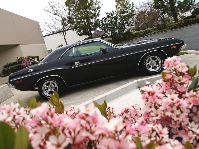 1973 DODGE CHALLENGER Santa Ana CA 92705 Photo #0007851A