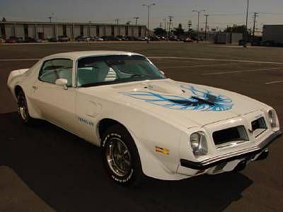 1974 PONTIAC TRANS AM Volo IL 60073 Photo #0007968A