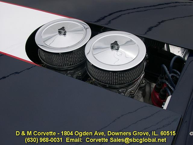 1965 CHEVROLET CHEETAH Downers Grove IL 60515 Photo #0008178A