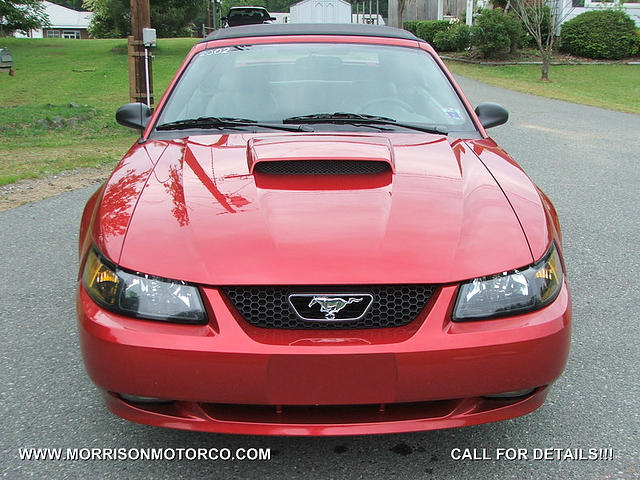 2002 FORD MUSTANG GT Concord NC 28027 Photo #0008814A