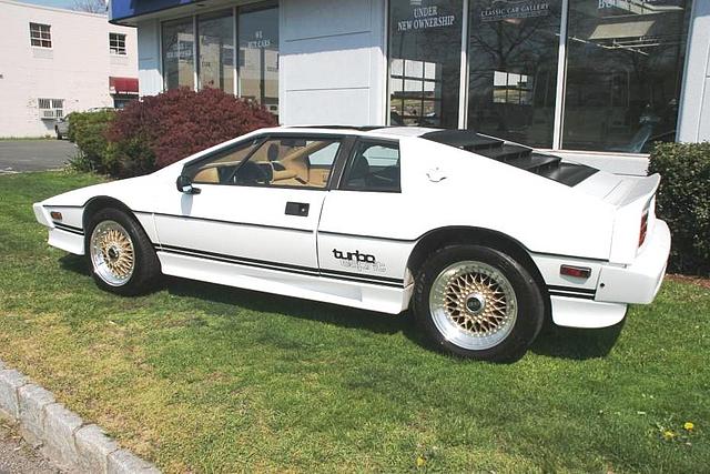 1983 LOTUS ESPRIT Southport CT 06890 Photo #0009710A