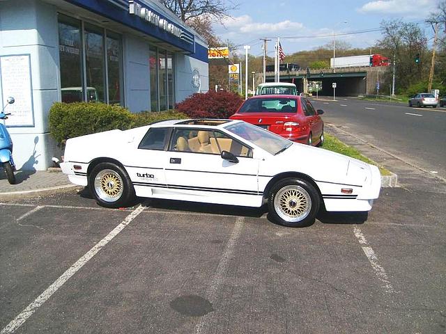 1983 LOTUS ESPRIT Southport CT 06890 Photo #0009710A