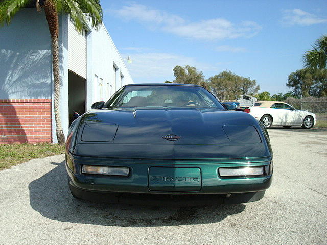 1995 CHEVROLET CORVETTE Fort Myers FL 33912 Photo #0010200A