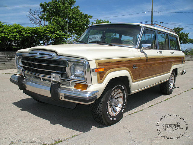 1986 JEEP WAGONEER Troy MI 48084 Photo #0010338A