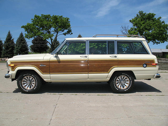 1986 JEEP WAGONEER Troy MI 48084 Photo #0010338A