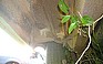 Photo #0010461E