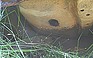 Photo #0010461H