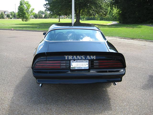 1976 PONTIAC FIREBIRD TRANS AM Collierville TN 38017 Photo #0012160A