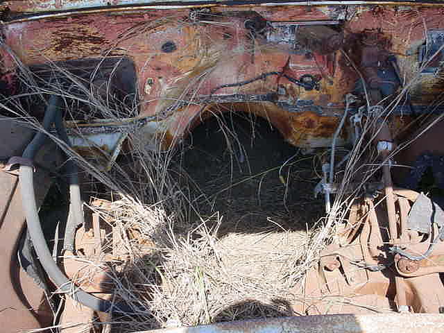 1960 CHEVROLET IMPALA Belton TX 76513 Photo #0012271A