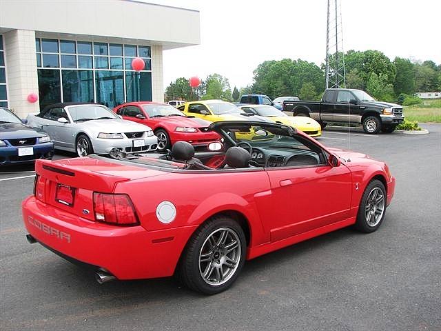 2003 FORD MUSTANG COBRA Spout Spring VA 24593 Photo #0012365A