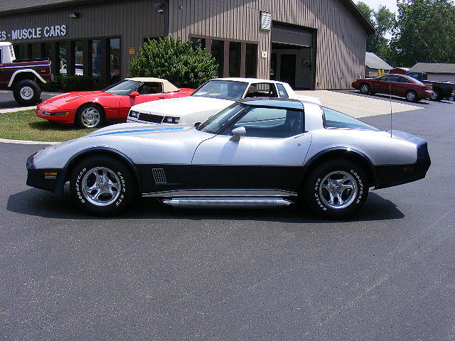 1981 CHEVROLET CORVETTE Holt MI 48842 Photo #0013019A