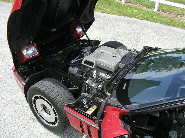 1984 CHEVROLET CORVETTE Orlando FL 32806 Photo #0013021A