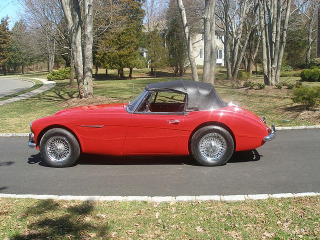 1965 AUSTIN HEALEY 3000 Tampa FL 33618 Photo #0013214A