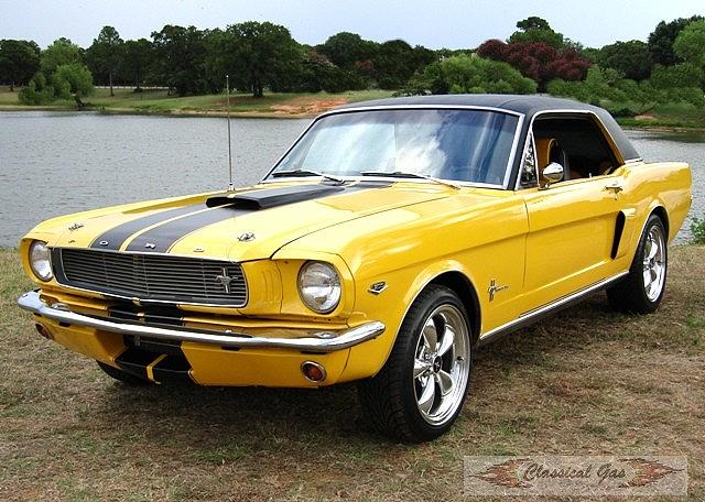 1966 FORD MUSTANG Arlington TX 76017 Photo #0014014A